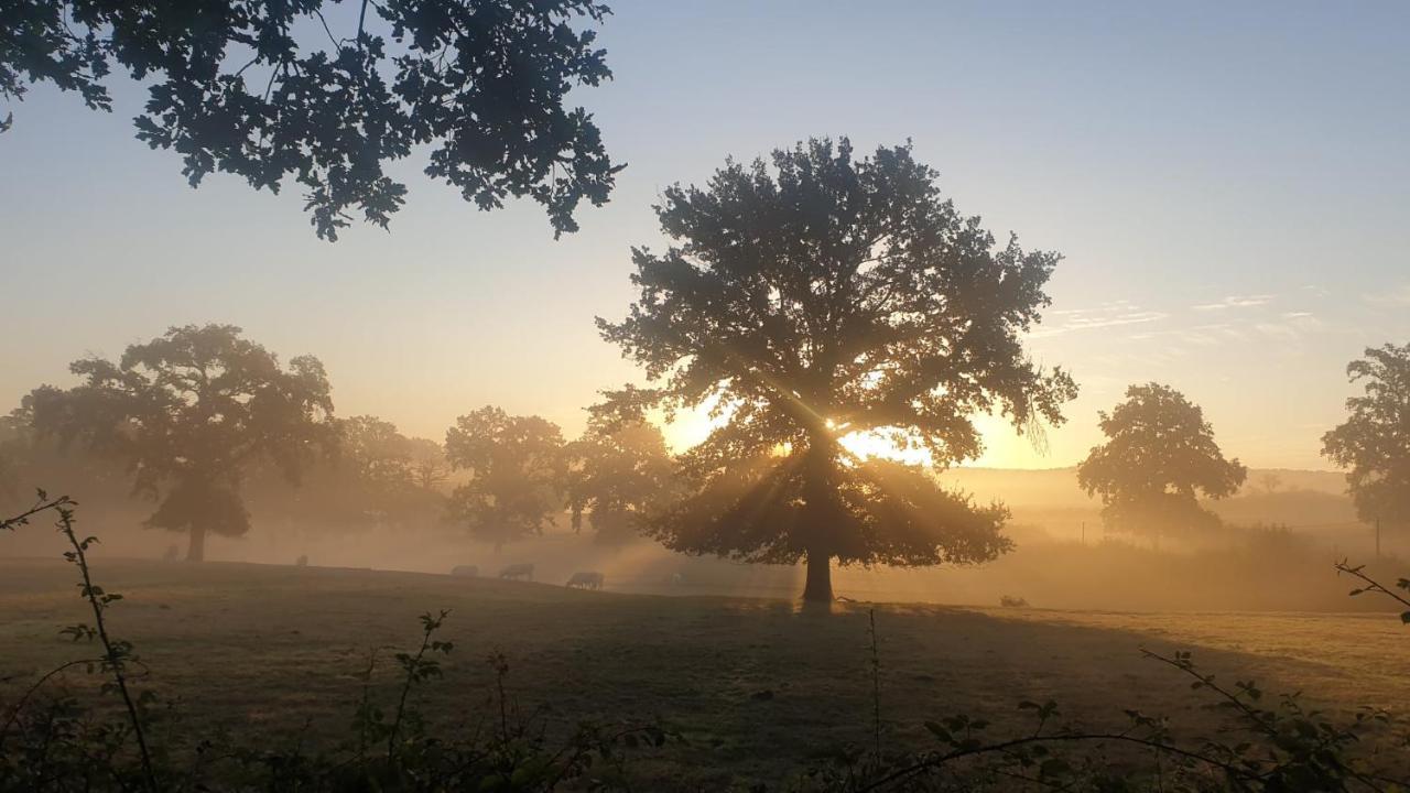 Glamping Les Arbres, Luxe Safaritent met zwembad Cronat Buitenkant foto